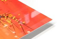 Summer Sunset HD Metal print