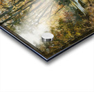 T Lewis   Fall Reflections 2 Acrylic print