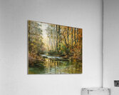 T Lewis   Fall Reflections 2 Acrylic Print