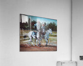 Pony Boy Acrylic Print