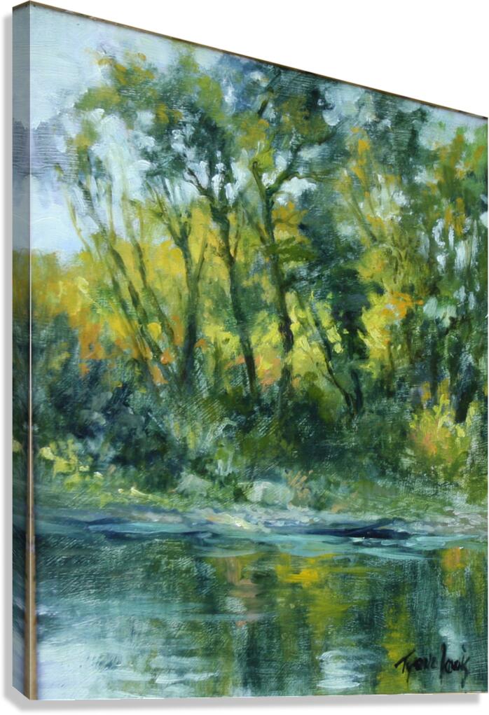 T Lewis   James River Canvas Print