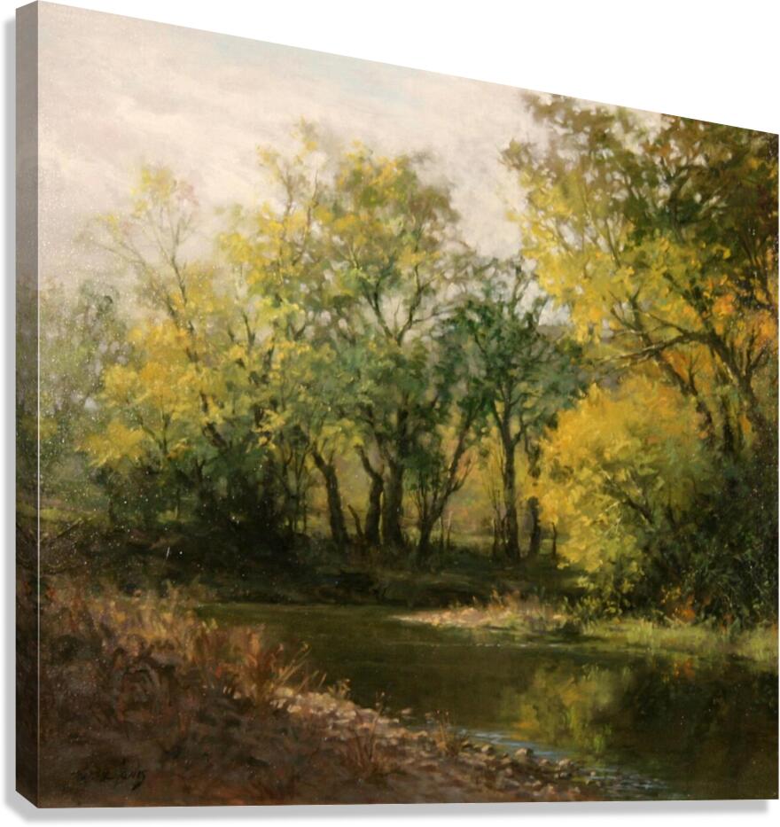 T Lewis   Echo Cove Canvas Print