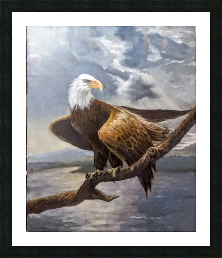 BaldEagle Picture Frame print