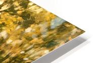 T. Lewis   Fall Reflections HD Metal print