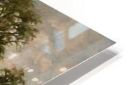 T.Lewis   Summer Days HD Metal print