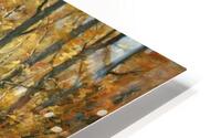 T Lewis   Fall Reflections 2 HD Metal print