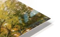 T Lewis   Echo Cove HD Metal print