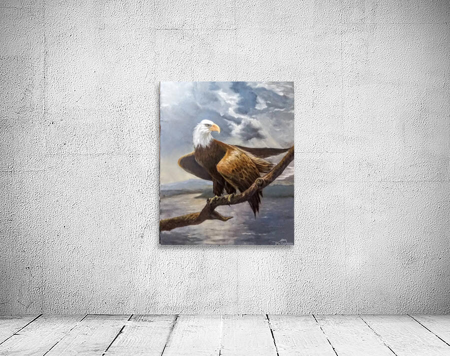 BaldEagle Wall Preview