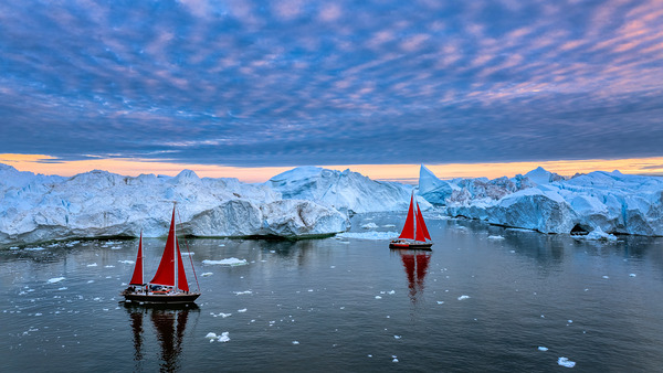 RED DUO Téléchargement Numérique