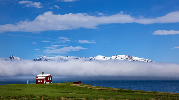 DALVIK Téléchargement Numérique