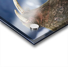 SIBLING QUARRELS Impression Acrylique