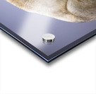 THE TASTE OF COLD AIR Acrylic print