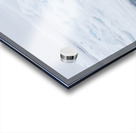 EMPRESS OF THE ARCTIC Impression Acrylique