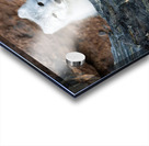 THE QUIET HUNT Impression Acrylique