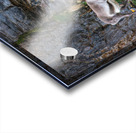 SANTAS REINDEER Impression Acrylique