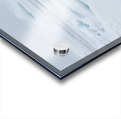 EMPRESS OF THE ARCTIC 2 Impression Acrylique