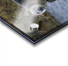 THE ROCK S KEEPER Acrylic print