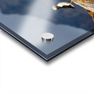 LAND OF THE PUFFIN Acrylic print