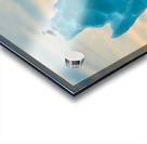 PERCHED Acrylic print