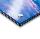 RABBIT ICE Acrylic print