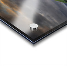 MAELIFELL Acrylic print