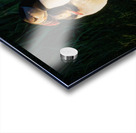 NORTH ATLANTIC PUFFINS Impression Acrylique