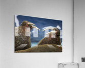 SIBLING QUARRELS Impression acrylique