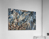 CLIFF COLONIES Acrylic Print
