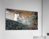 THE QUIET HUNT Impression acrylique