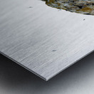 THE LIVING CLIFF Impression metal