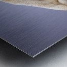 THE TASTE OF COLD AIR Metal print