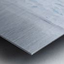 EMPRESS OF THE ARCTIC Impression metal