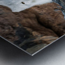 THE QUIET HUNT Impression metal