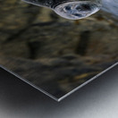 THE ROCK S KEEPER Metal print