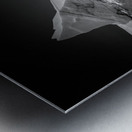 TRANQUILITY IN BLACK AND WHITE Metal print