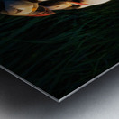 NORTH ATLANTIC PUFFINS Impression metal