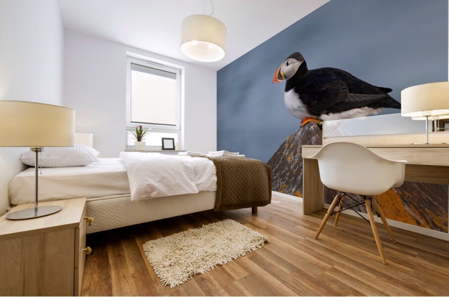 BETWEEN SEA SKY Mural print