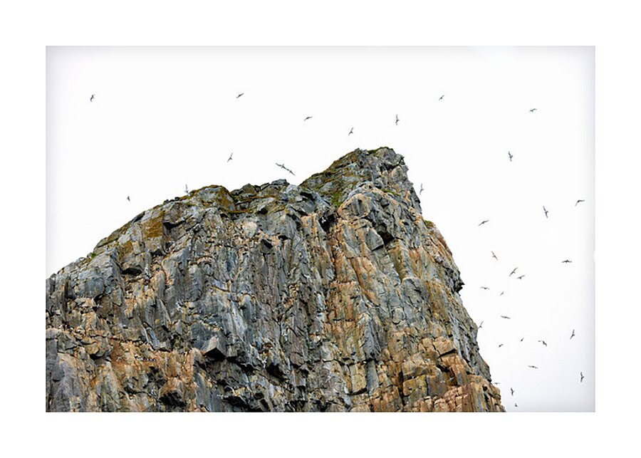 THE LIVING CLIFF Impression et Cadre photo