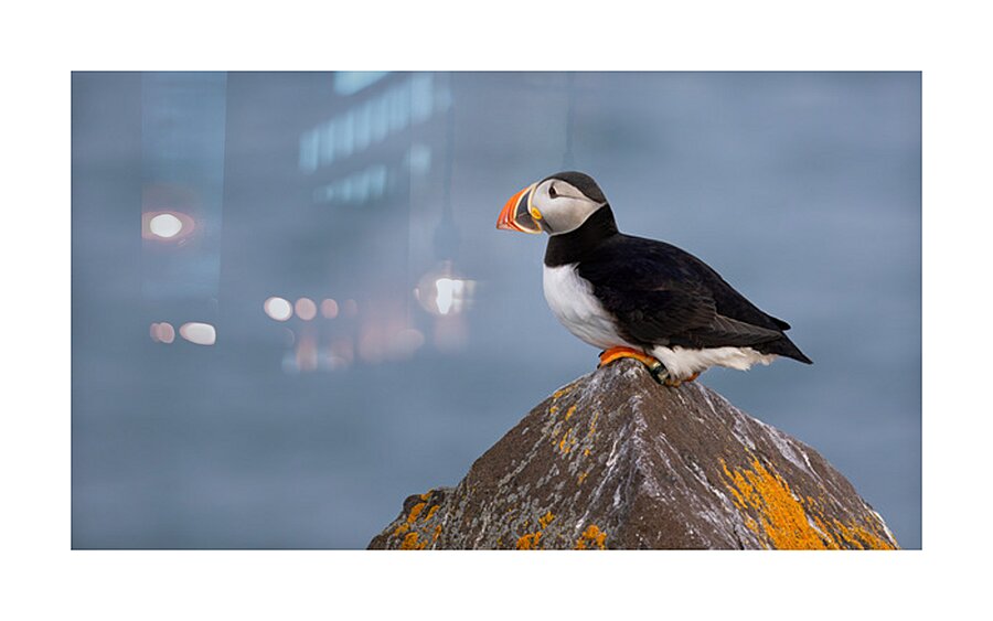 BETWEEN SEA SKY Picture Frame print
