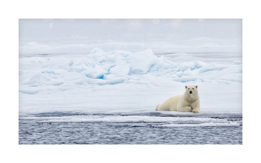 EMPRESS OF THE ARCTIC Impression et Cadre photo