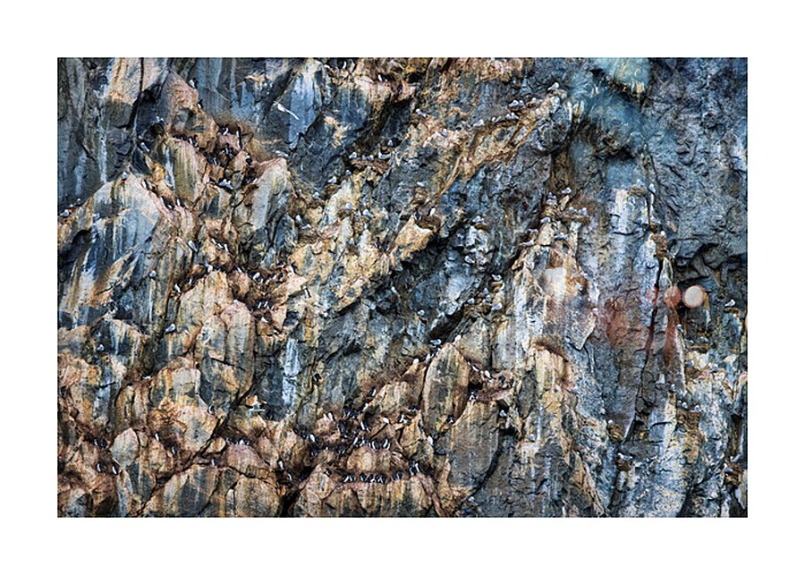 CLIFF COLONIES Picture Frame print