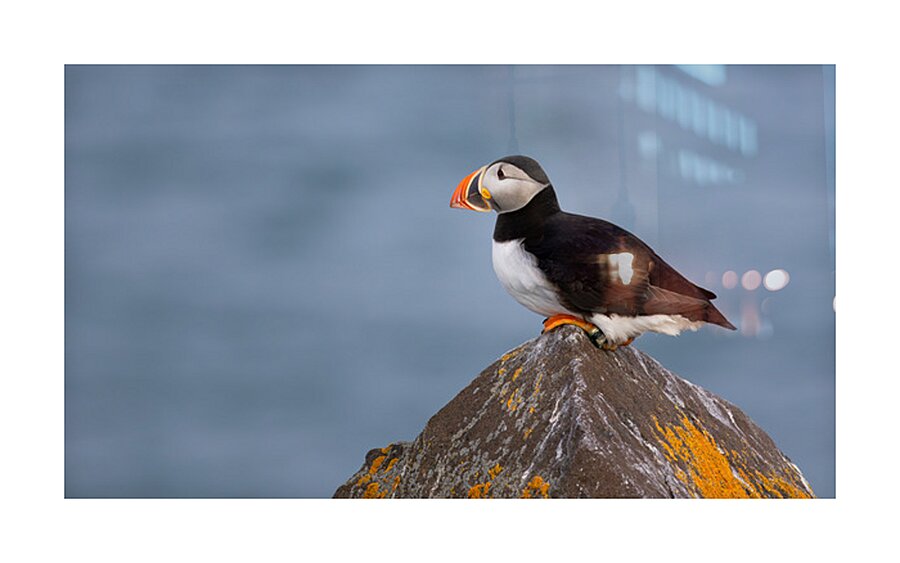 BETWEEN SEA SKY Impression et Cadre photo