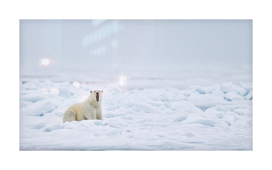 EMPRESS OF THE ARCTIC 7 Impression et Cadre photo