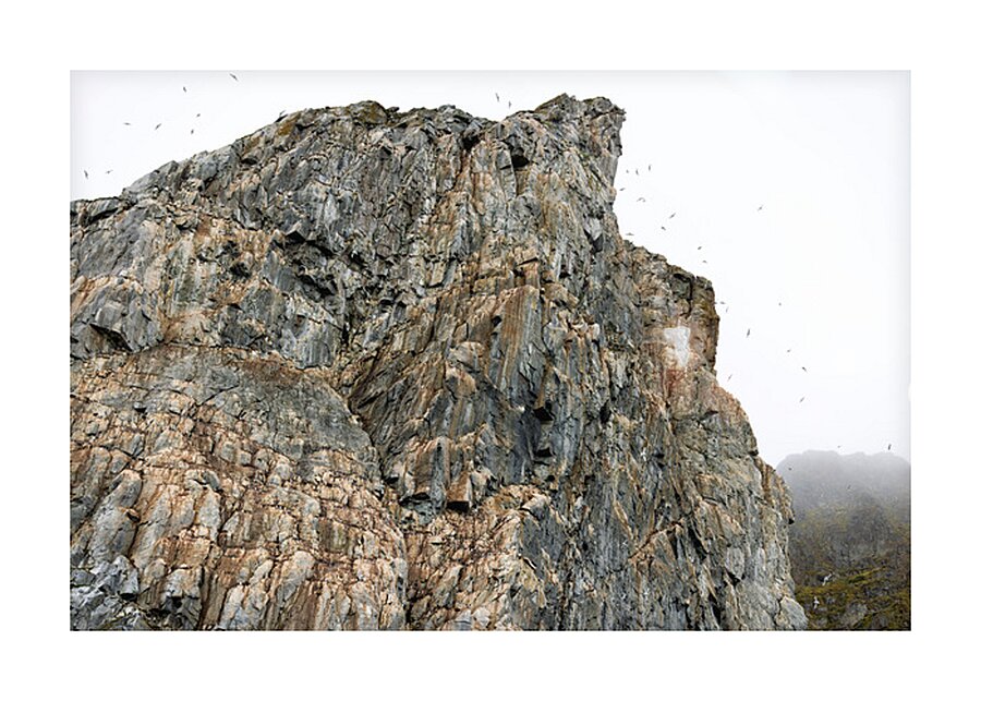 AVIAN HIGH RISE Impression et Cadre photo