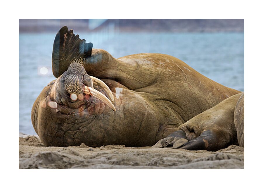 MONDAYS Picture Frame print