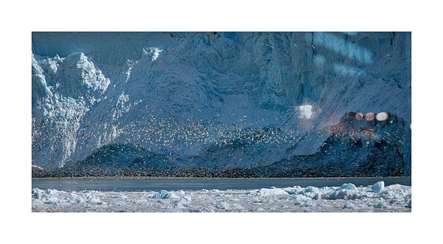 WINGS Impression et Cadre photo