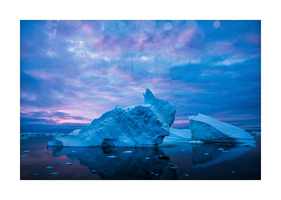 RABBIT ICE Picture Frame print