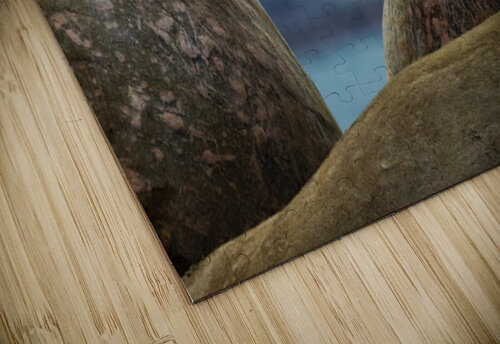 SIBLING QUARRELS Doug Sturgess puzzle