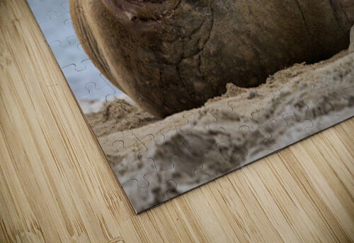 MONDAYS Doug Sturgess puzzle