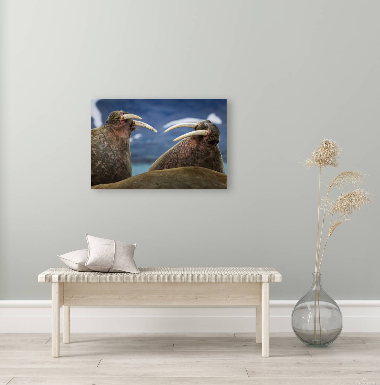 SIBLING QUARRELS Reproduction